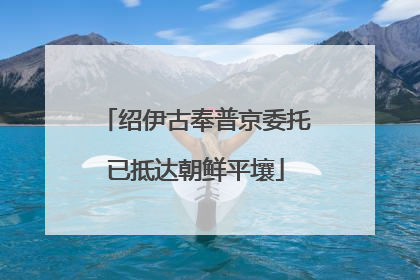 绍伊古奉普京委托已抵达朝鲜平壤